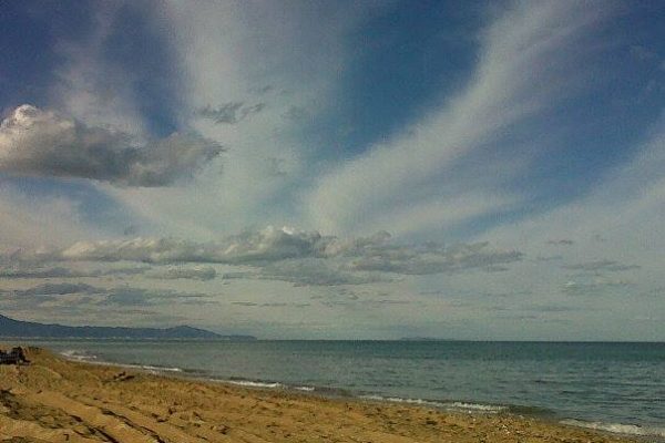 1551707_1408826712691672_1241864272_n