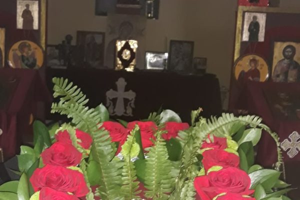 56696896_2297104137197254_7384174999558422528_n