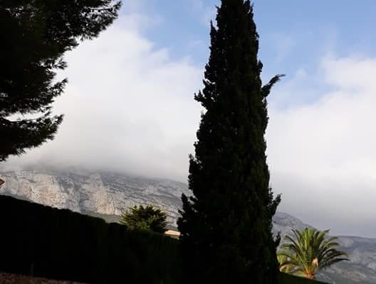 68690507_2387313658176301_4517515110956138496_n